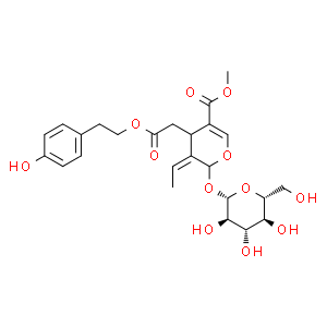Ligustroside - CAS:35897-92-8 - Naturewill biotechnology Co., Ltd.